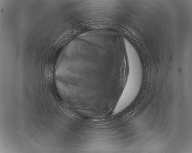 X0000066510507200604071530
