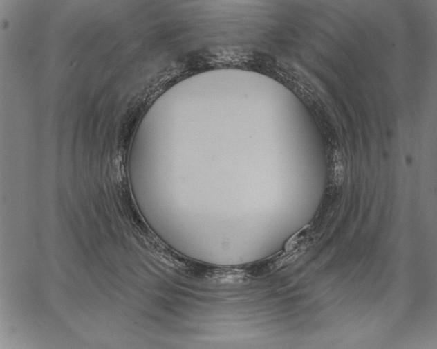 X0000066510514200604071530