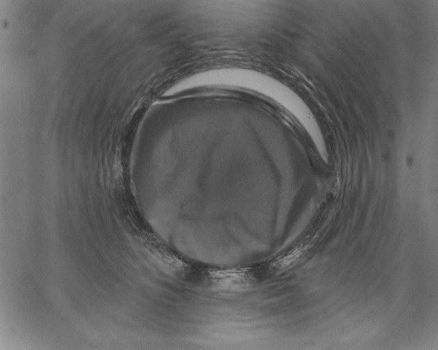 X0000066510516200604071530