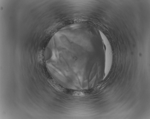 X0000066510519200604071530