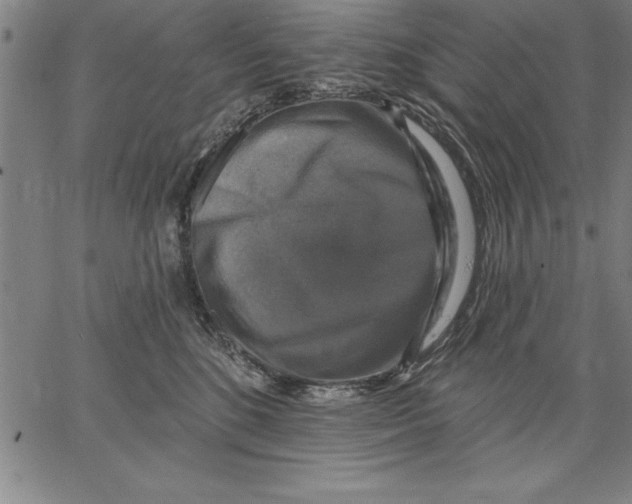X0000066510520200604071530