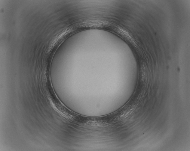 X0000066510538200604071529