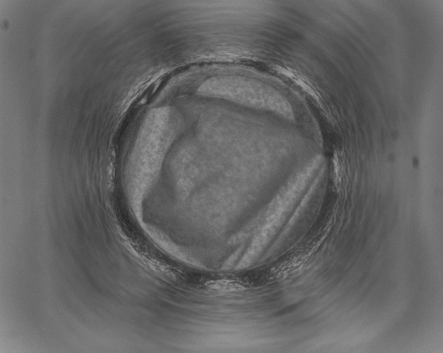 X0000066510544200604071529