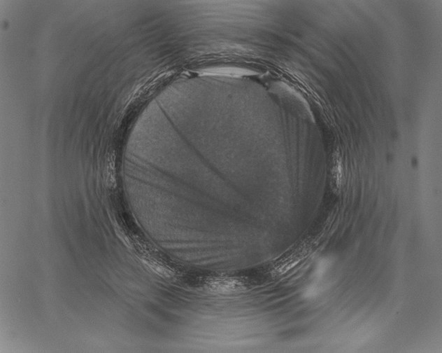 X0000066510547200604071529
