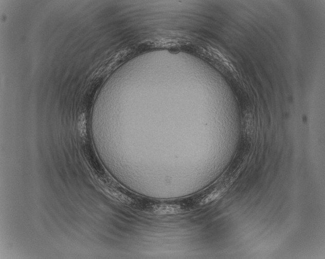 X0000066510549200604071529