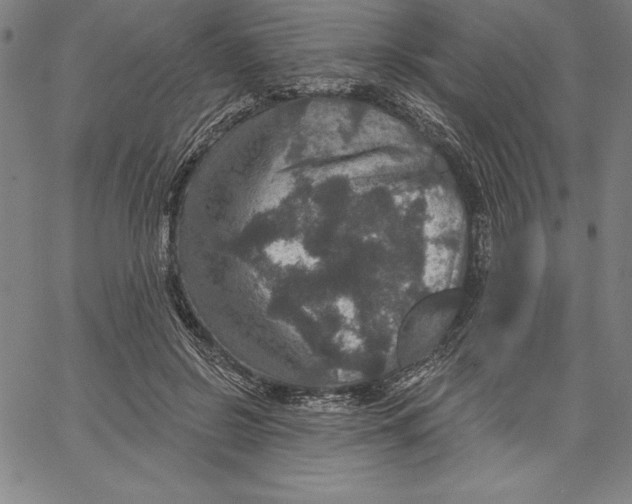X0000066510550200604071530
