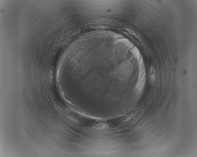 X0000066510551200604071530