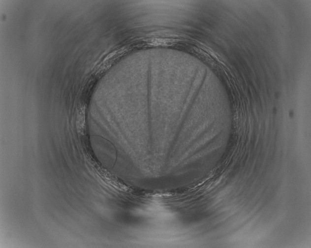 X0000066510554200604071530