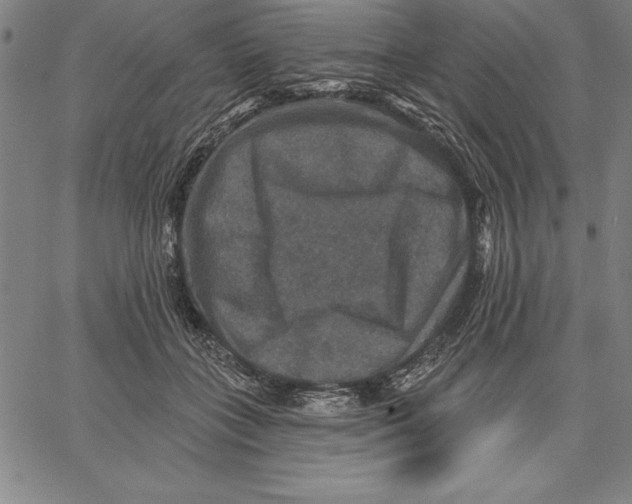 X0000066510555200604071530