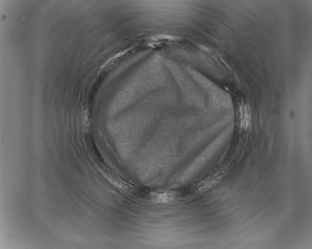 X0000066510564200604071530