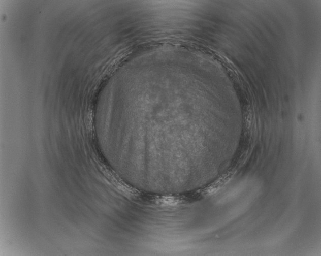 X0000066510565200604071530
