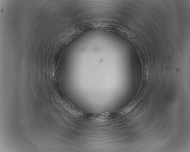 X0000066510567200604071530