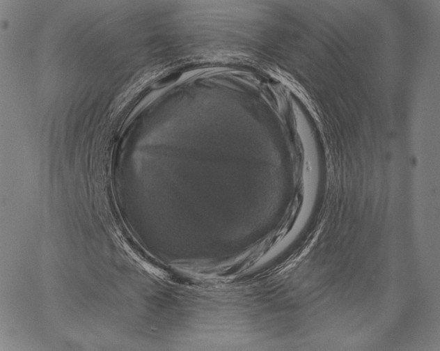X0000066510577200604071529