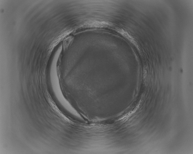 X0000066510581200604071529