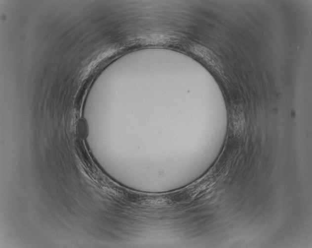 X0000066510583200604071529