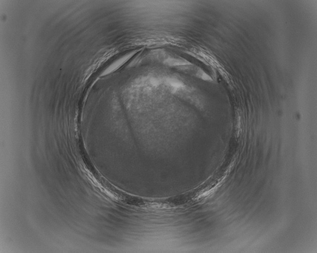 X0000066510585200604071529