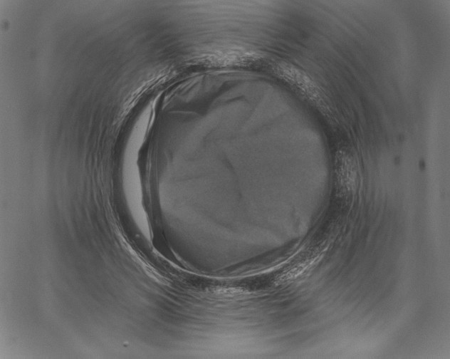 X0000066510590200604071529