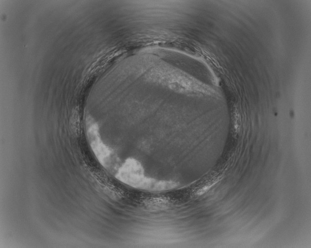 X0000066510594200604071529