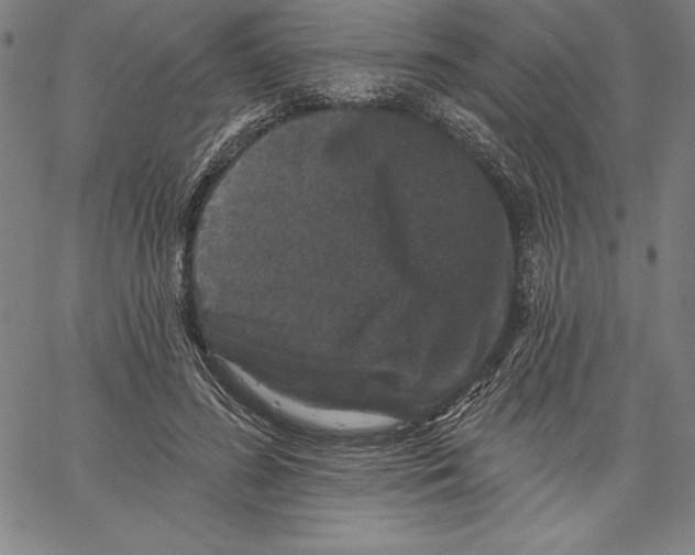 X0000066510596200604071529