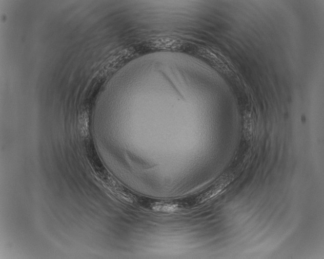 X0000066510602200604071529