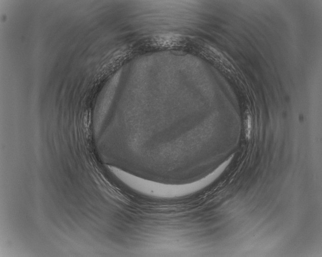 X0000066510605200604071529