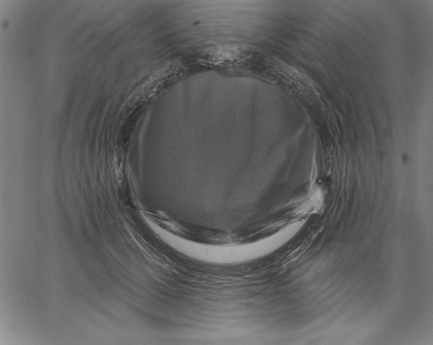 X0000066510607200604071529