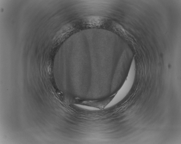 X0000066510608200604071529