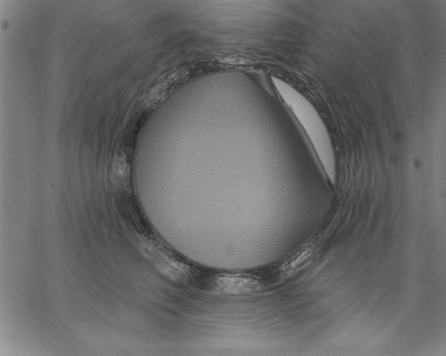 X0000066510614200604071529