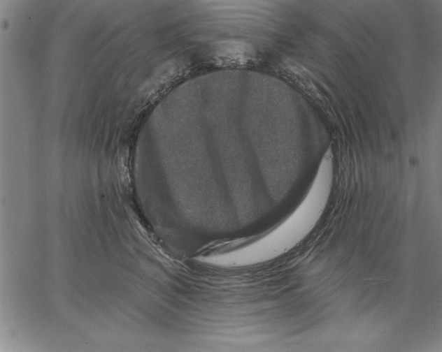 X0000066510616200604071529