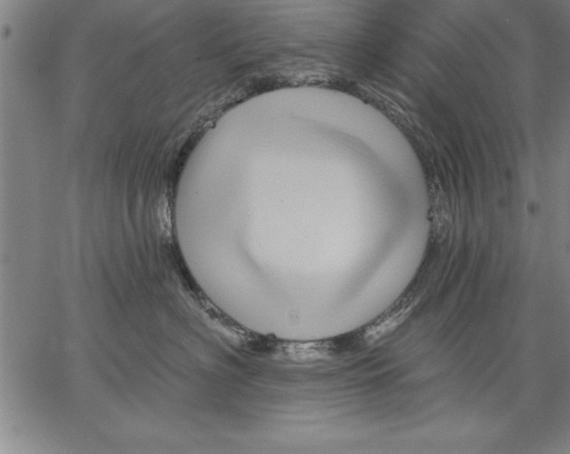 X0000066510622200604071528