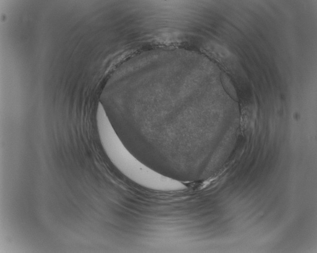 X0000066510623200604071528