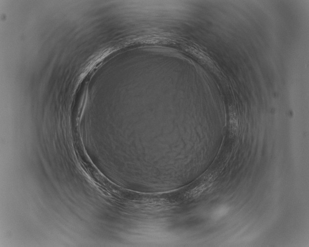 X0000066510626200604071528