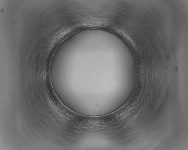 X0000066510631200604071528