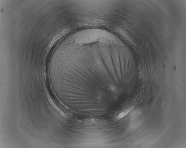 X0000066510634200604071528