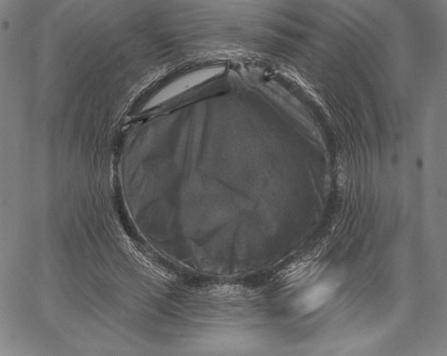 X0000066510637200604071528