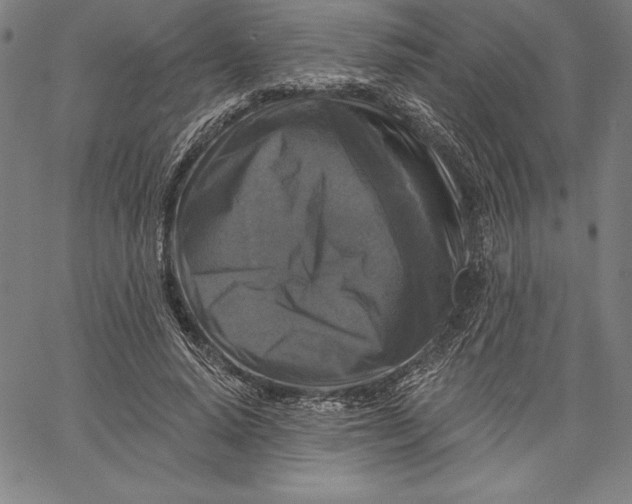 X0000066510640200604071528
