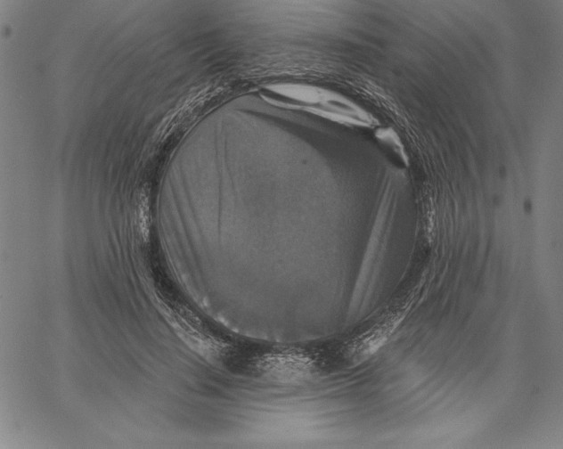 X0000066510644200604071528