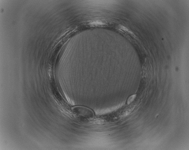 X0000066510648200604071528