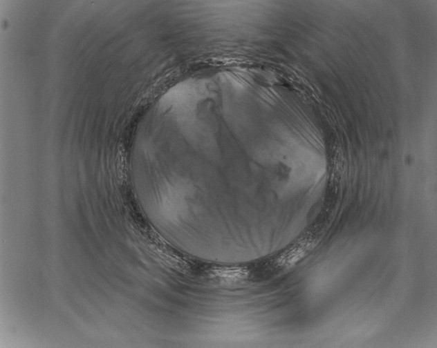 X0000066510659200604071528