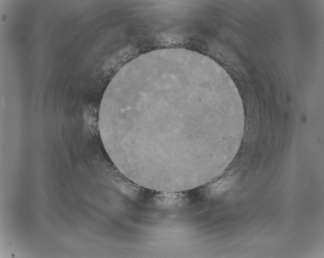 X0000066510672200604071528