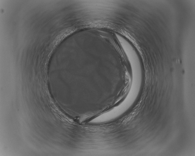 X0000066510673200604071528