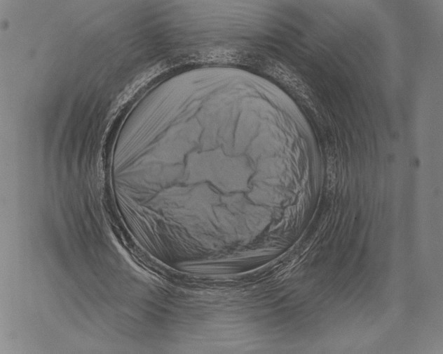 X0000066510674200604071528