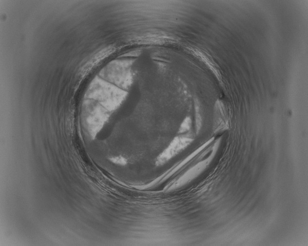 X0000066510675200604071528