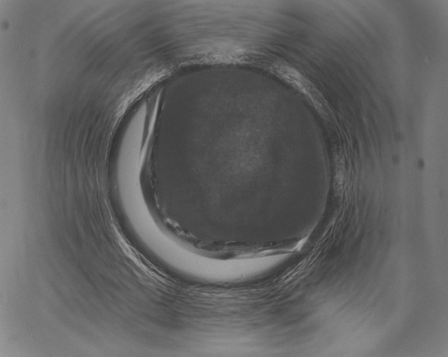 X0000066510677200604071528