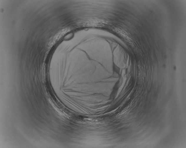 X0000066510678200604071528