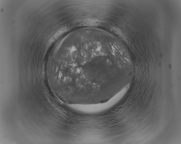 X0000066510679200604071527