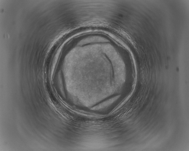 X0000066510680200604071527