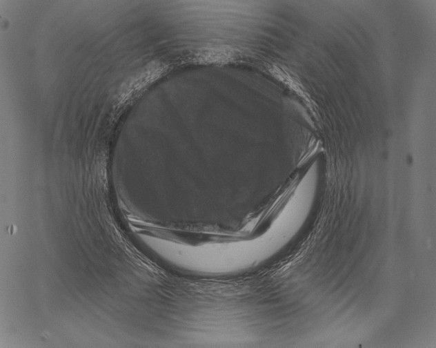X0000066510681200604071527