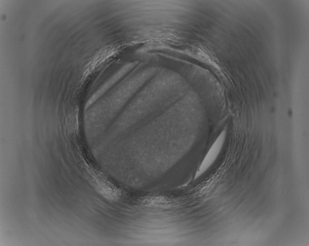 X0000066510685200604071527