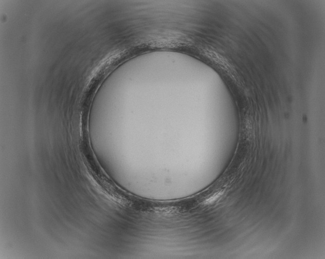 X0000066510686200604071527